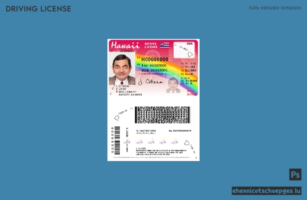 Beispiel für einen Führerschein aus Hawaii